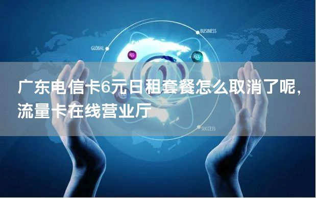 广东电信卡6元日租套餐怎么取消了呢，流量卡在线营业厅