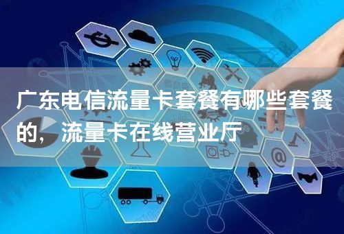 广东电信流量卡套餐有哪些套餐的，流量卡在线营业厅