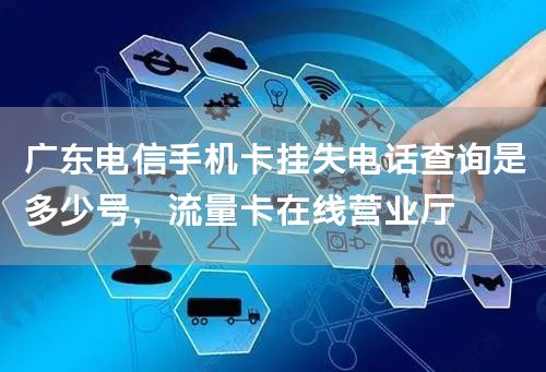 广东电信手机卡挂失电话查询是多少号，流量卡在线营业厅