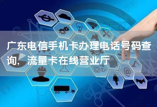 广东电信手机卡办理电话号码查询，流量卡在线营业厅