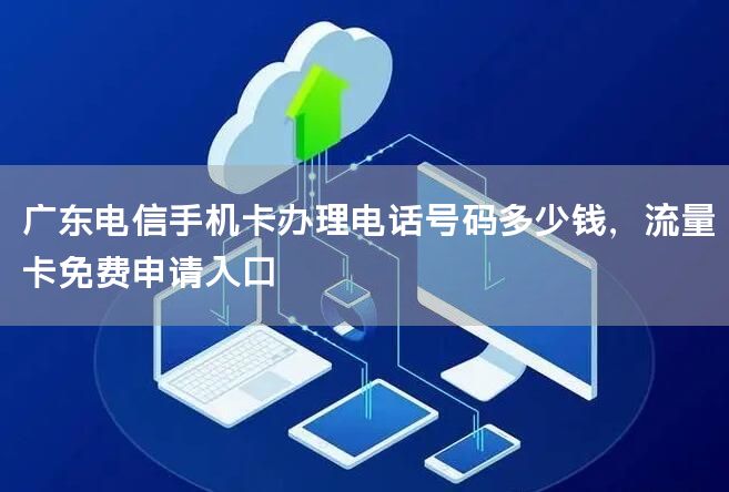 广东电信手机卡办理电话号码多少钱，流量卡免费申请入口