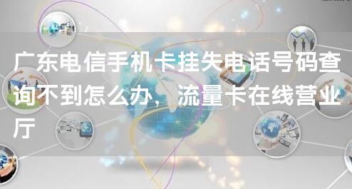 广东电信手机卡挂失电话号码查询不到怎么办，流量卡在线营业厅