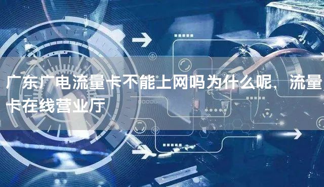 广东广电流量卡不能上网吗为什么呢，流量卡在线营业厅
