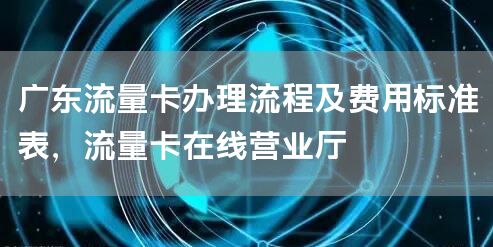 广东流量卡办理流程及费用标准表，流量卡在线营业厅
