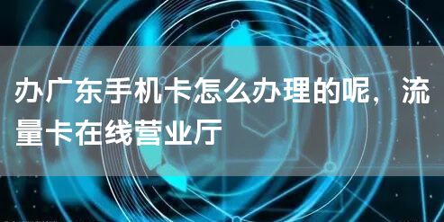 办广东手机卡怎么办理的呢，流量卡在线营业厅