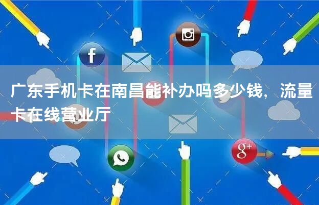 广东手机卡在南昌能补办吗多少钱，流量卡在线营业厅