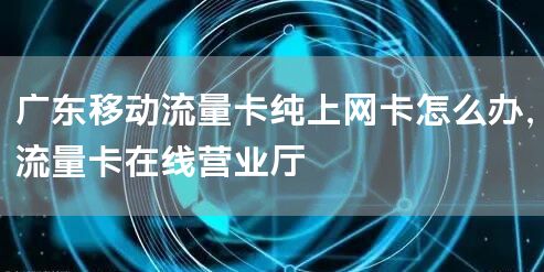 广东移动流量卡纯上网卡怎么办，流量卡在线营业厅
