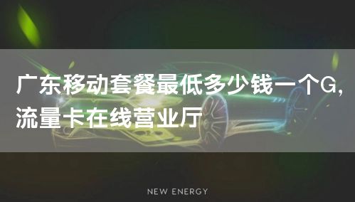 广东移动套餐最低多少钱一个G，流量卡在线营业厅