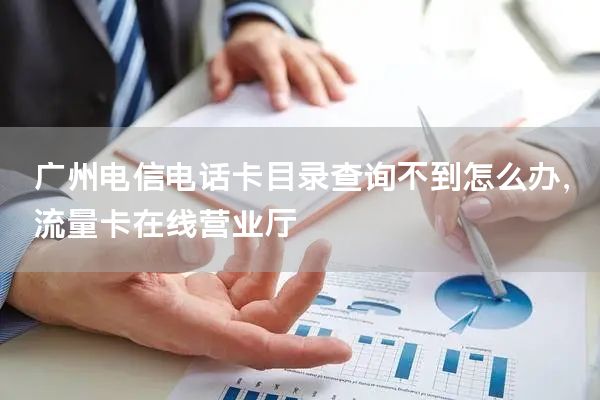 广州电信电话卡目录查询不到怎么办，流量卡在线营业厅