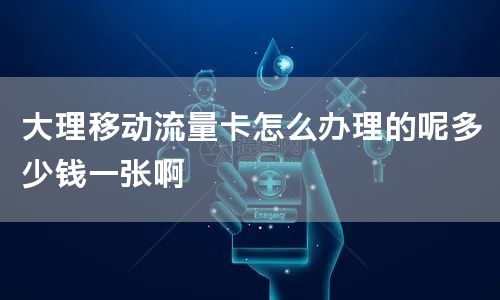 大理移动流量卡怎么办理的呢多少钱一张啊