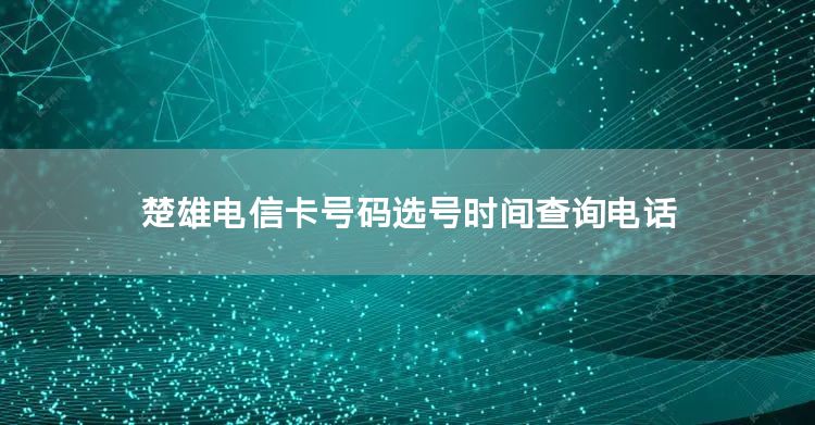 楚雄电信卡号码选号时间查询电话