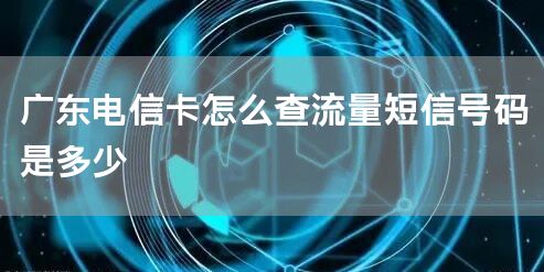 广东电信卡怎么查流量短信号码是多少