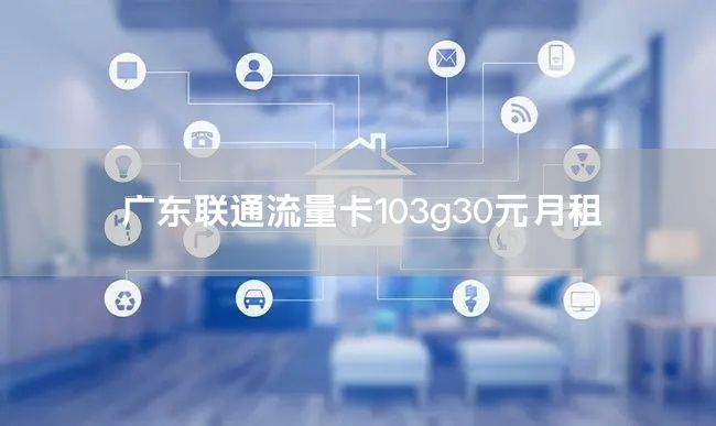 广东联通流量卡103g30元月租