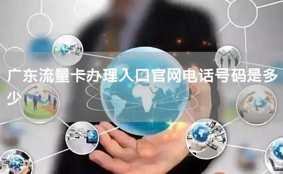 广东流量卡办理入口官网电话号码是多少