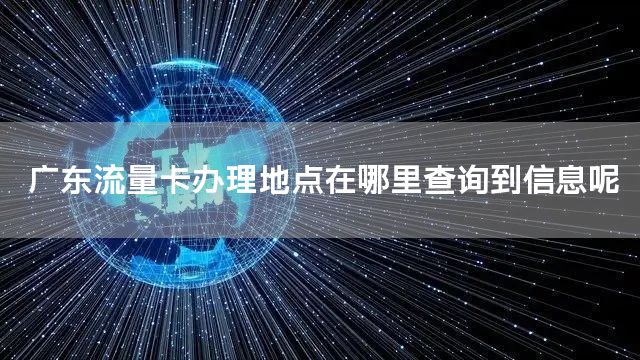 广东流量卡办理地点在哪里查询到信息呢