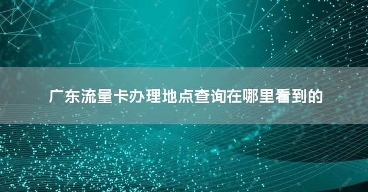 广东流量卡办理地点查询在哪里看到的