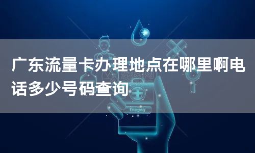 广东流量卡办理地点在哪里啊电话多少号码查询