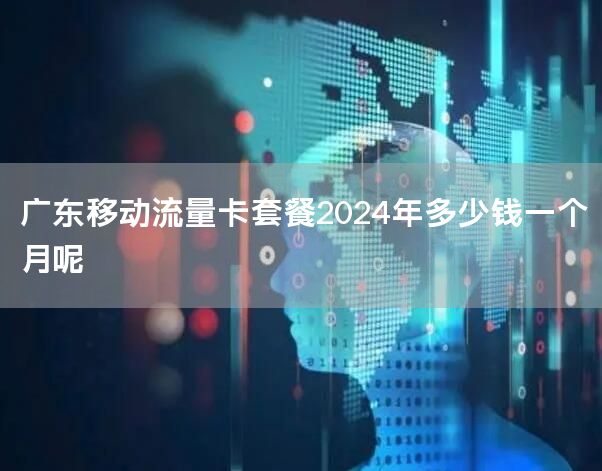 广东移动流量卡套餐2024年多少钱一个月呢