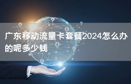 广东移动流量卡套餐2024怎么办的呢多少钱