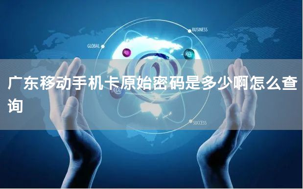 广东移动手机卡原始密码是多少啊怎么查询