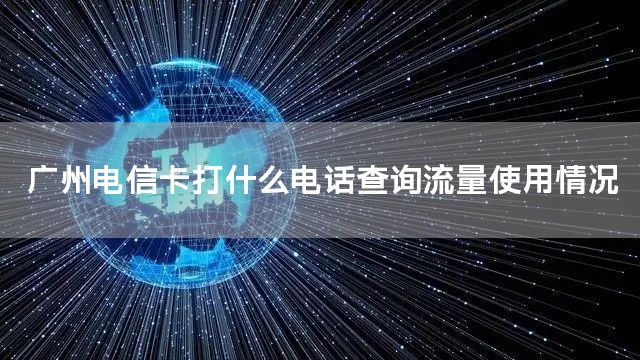 广州电信卡打什么电话查询流量使用情况