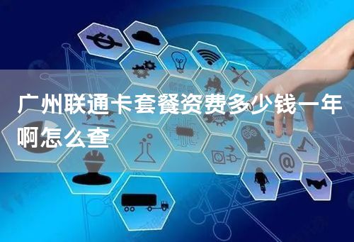 广州联通卡套餐资费多少钱一年啊怎么查