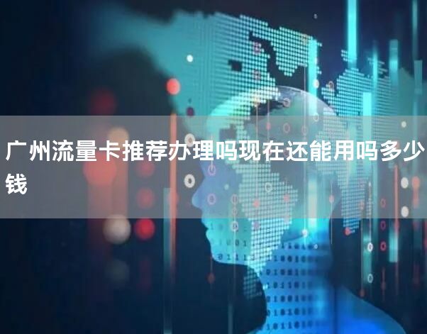 广州流量卡推荐办理吗现在还能用吗多少钱