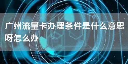 广州流量卡办理条件是什么意思呀怎么办