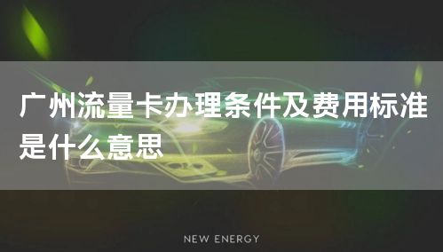 广州流量卡办理条件及费用标准是什么意思