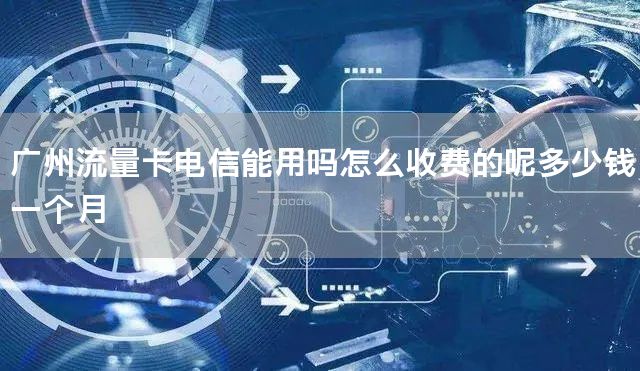 广州流量卡电信能用吗怎么收费的呢多少钱一个月