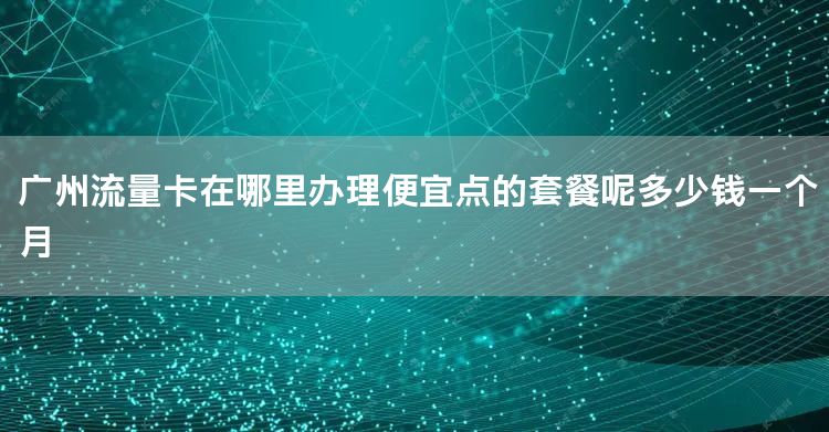 广州流量卡在哪里办理便宜点的套餐呢多少钱一个月